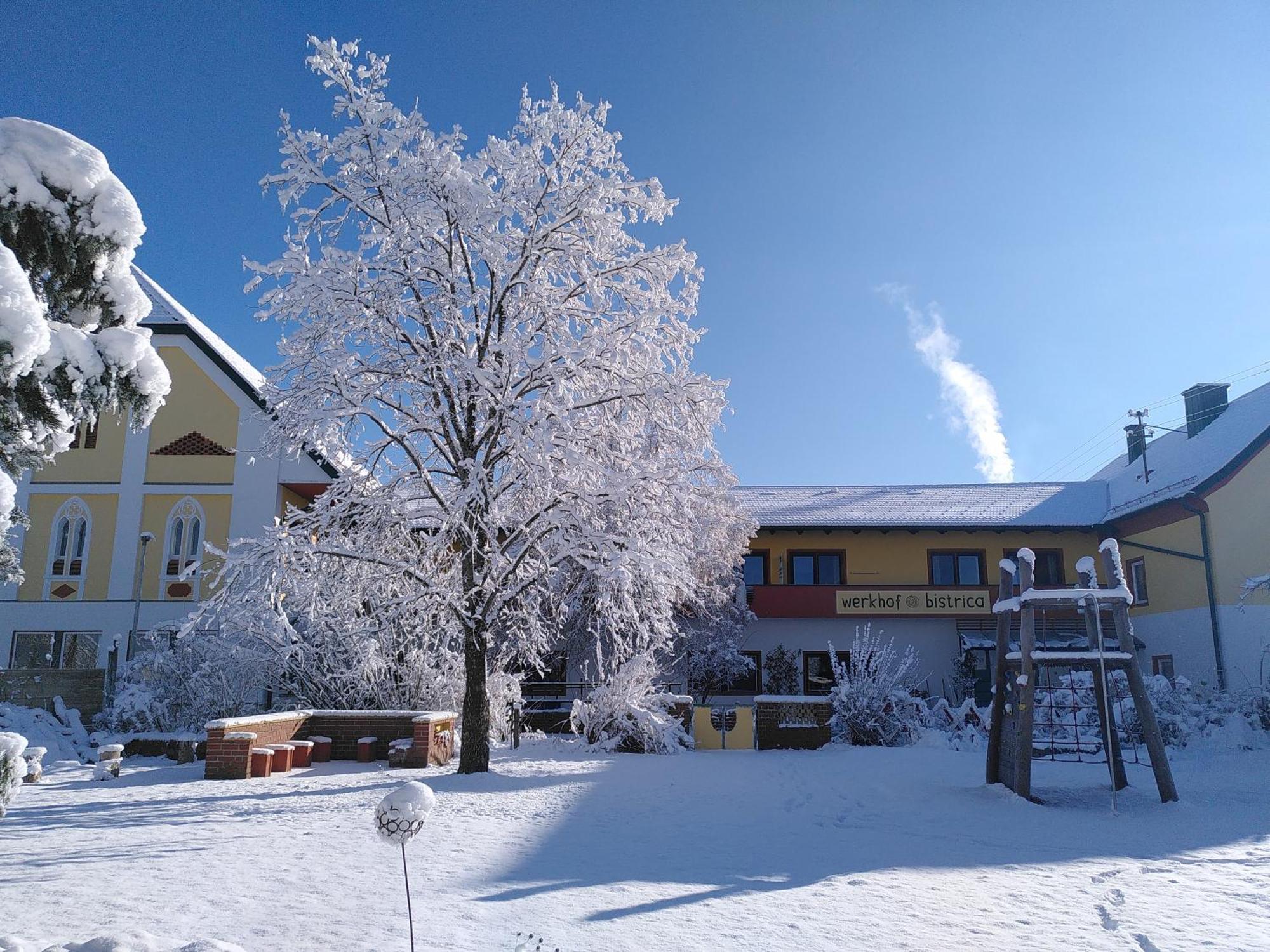 Werkhof Bistrica Lägenhet Exteriör bild